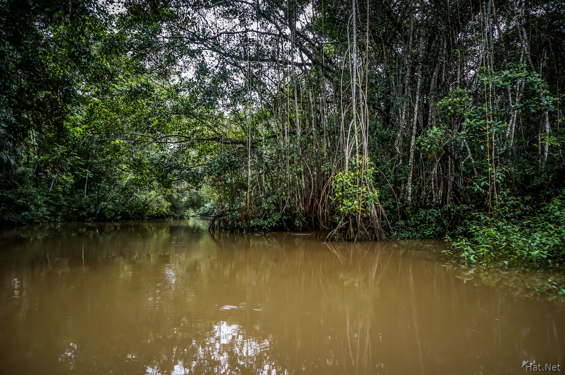 Amazon River Paddling