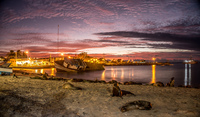 20140520183610-Sea_lion_colony_in_Puerto_Baquerizo_Moreno_when_sunset