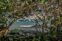 Jardin Ceramica Puerto Velasco Ibarra, Galapagos, Ecuador, South America