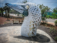 Airport Park Galapagos, Ecuador, South America