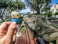 20140507112823-Iguana_In_Guayaquil_attack_Hello_Kitty