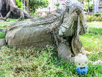 20140507113546-Iguana_In_Guayaquil_attack_Hello_Kitty