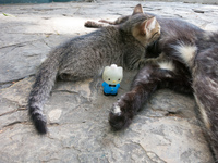 20140507120339-Kitty_and_Hello_Kitty_in_Simon_Bolivar_Park