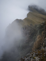 Misty Pasochoa summit Cotopaxi Naitonal Park,  Pichincha,  Ecuador, South America