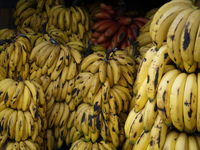 lots of potassium Saquisilí,  Cotopaxi,  Ecuador, South America