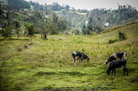 Hike to Chugchilan Chugchilan,  Cotopaxi,  Ecuador, South America