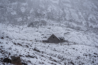 icy chimborazo Chantilin,  Alausi,  Chimborazo,  Ecuador, South America