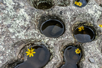 Ingaprica Cuenca,  Canar,  Ecuador, South America