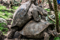 20_galapagos_wildlife