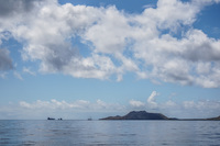 Floreana Puerto Velasco Ibarra, Galapagos, Ecuador, South America