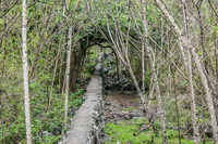 Wall to Highland Puerto Velasco Ibarra, Galapagos, Ecuador, South America