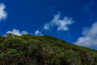 Floreana Landscape Puerto Velasco Ibarra, Galapagos, Ecuador, South America