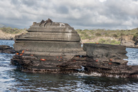 James Bay Isla Santiago, Galapagos, Ecuador, South America