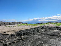 Isla Fernandina Fernandina Island, Galapagos, Ecuador, South America