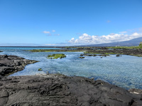 Isla Fernandina Fernandina Island, Galapagos, Ecuador, South America