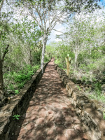 Trail to Tortuga Bay Puerto Velasco Ibarra, Galapagos, Ecuador, South America