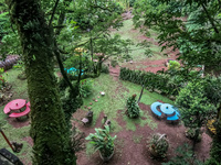 Quinta el Ceibo Tree House Baquerizo Moreno, El Progreso, El Junco, Puerto China, Galapagos, Ecuador, South America