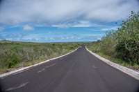 La Loberia Baquerizo Moreno, Galapagos, Ecuador, South America