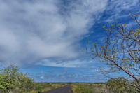 La Loberia Baquerizo Moreno, Galapagos, Ecuador, South America