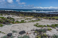 La Loberia Baquerizo Moreno, Galapagos, Ecuador, South America