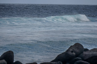 La Loberia Baquerizo Moreno, Galapagos, Ecuador, South America