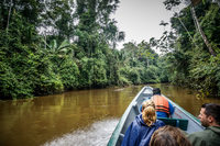 Amazon Day 1 Lago Agrio, Nueva Loja Cuyabeno Reserve, Ecuador, South America