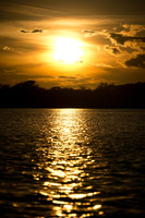 Amazon Sunset Lago Agrio, Nueva Loja Cuyabeno Reserve, Ecuador, South America