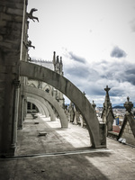 Basilica del Voto Nacional of Quito Quito, Pichincha province, Ecuador, South America