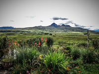 Cotopaxi waterfall hike Cotopaxi National Park, Cotopaxi, Ecuador, South America