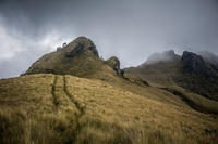 Pasochoa Cotopaxi Naitonal Park, Cotopaxi, Ecuador, South America