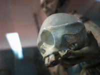 Skull Religious Museum of Riobamba Riobamba, Chimborazo Province, Ecuador, South America
