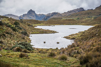 Cajax National Park near Cuenca Cuenca, Ecuador, South America
