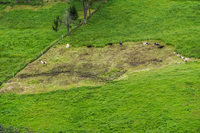 Ingaprica Cuenca, Ecuador, South America