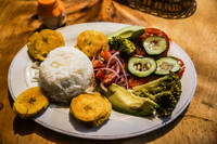 Veggie Lunch near Cajax National Park Cuenca, Ecuador, South America