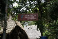 Guacamayo Lodge Lago Agrio, Nueva Loja Cuyabeno Reserve, Ecuador, South America